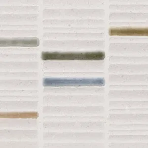 Cialda-R Macedonia 32x99 - Ceramic Wall Tiles