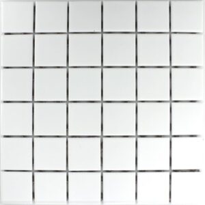 BORNEO WHITE 30x30 R10 - MOSAIC