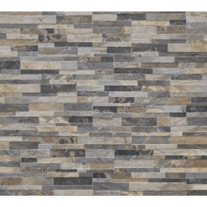 CBCS MULTICOLOR 15X61 - WOOD EFFECT